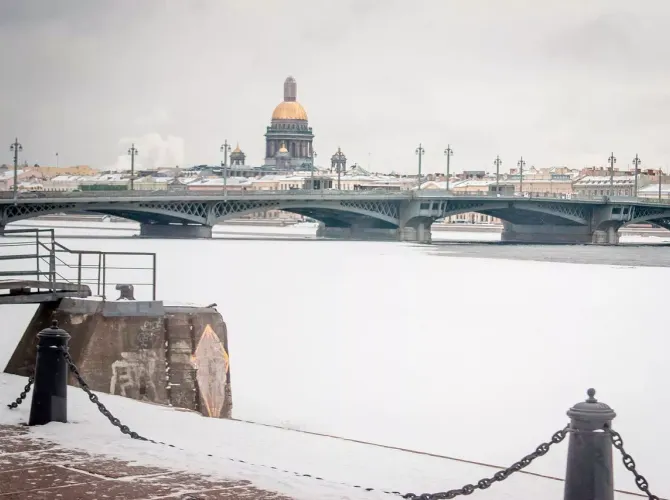 Семейная экскурсия по мостам Петербурга с посещением «Музея мостов»